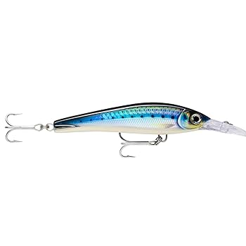 Amazon.com : Rapala X-Rap® Magnum® Xtreme 6-1/4